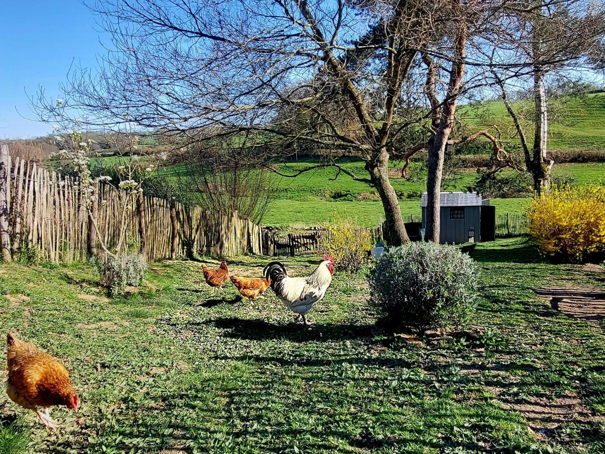 Maison Du Grand Moulin Saint-Aubin-en-Charollais Extérieur photo