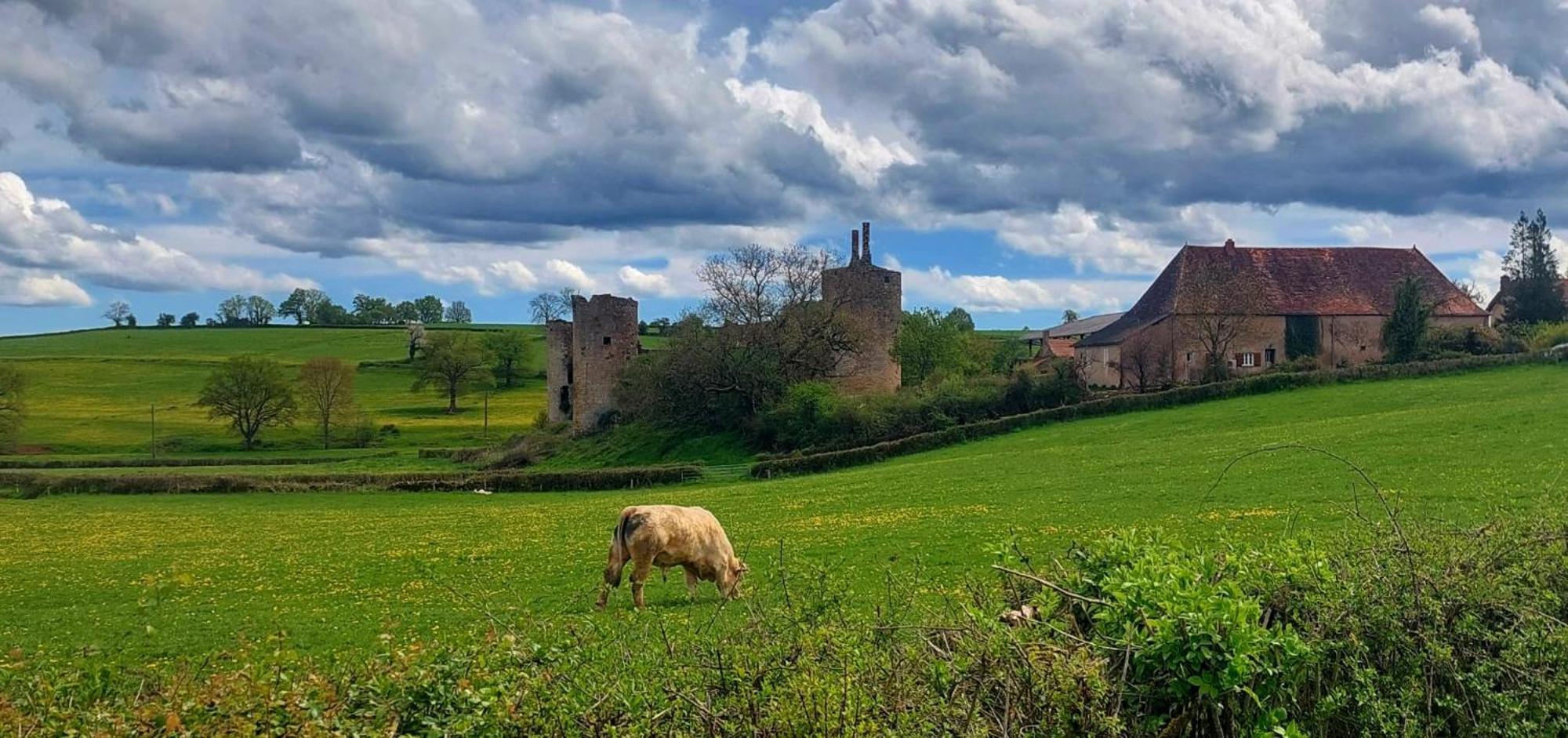 Maison Du Grand Moulin Saint-Aubin-en-Charollais Extérieur photo