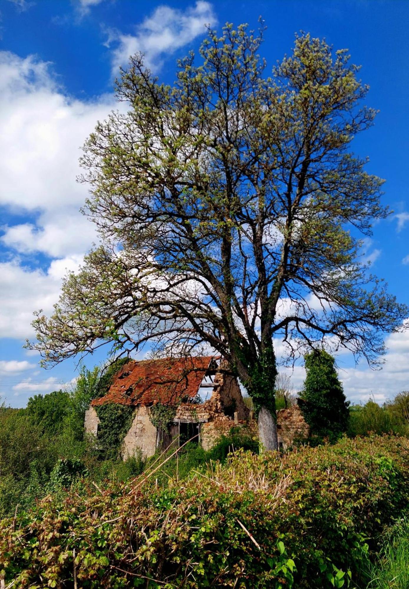 Maison Du Grand Moulin Saint-Aubin-en-Charollais Extérieur photo